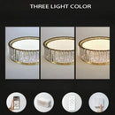 Ljojo Light Luxury Ceiling Lamp for Living Room, Dining Room & Master Bedroom