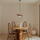 Ljojo Magnetic Attraction Pendant Light Adjustable Wire for Dining Room & Bedroom