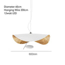 Nordic Minimalist Lotus Leaf Art LED Pendant Light Chandelier by Ljojo
