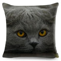 Cute Cat Print Fold Ear Pet Pillowcase for Cozy Home Decor by Ljojo