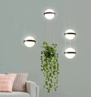 Modern Plant Pendant Lights Nordic DIY Sky Garden Led Lamp Hanging Lamp Home Decor by Ljojo