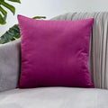 Ljojo Luxury Velvet Cushion Cover for Sofa Living Room Decor 45x45 30x50 50x50