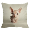 Cute Ljojo Sphinx Cat Cushion Cover 45X45cm - Home Sofa Decoration Pillowcase
