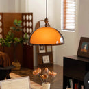 Brown Acrylic Pendant Lamp LED Chandelier for Bedroom Dining Room by Ljojo