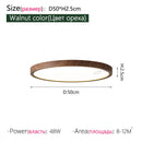 LED Ceiling Light Alexa Compatible Smart Minimalist Modern Living Room Bedroom Ljojo