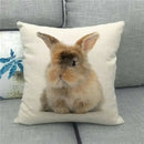 Easter Bunny Eggs Printed Pillow Covers 45x45cm - Ljojo Easter Decorations