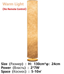 Floor Lamps with Remote Control LED Soft Light for Living Room by Ljojo