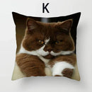 Cat Pattern Cushion Cover 45x45cm - Ideal Sofa & Home Decor Gift by Ljojo