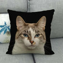 Fat Orange Cat Print Cushion Cover 45x45cm by Ljojo: Animal Pattern Home Decor Pillowcase
