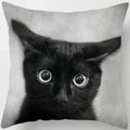 Ljojo  Black Cat Pillowcase  Decorative Square Cushion Cover 45*45cm