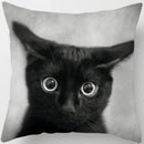 Ljojo  Black Cat Pillowcase  Decorative Square Cushion Cover 45*45cm