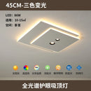 Ljojo Modern Originality Rectangular Ceiling Light: Master Bedroom & Dining Room Fixture