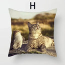 Cat Pattern Cushion Cover 45x45cm - Ideal Sofa & Home Decor Gift by Ljojo