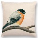Birds Painting Cushion Cover - Ljojo Collection: Robin, Titmouse, Toucan, Sparrow, Firecrest, Cardinal, Bullfinch