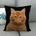 Fat Orange Cat Print Cushion Cover 45x45cm by Ljojo: Animal Pattern Home Decor Pillowcase