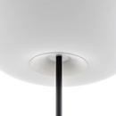KUSHI LED Glass Pendant Light - Ljojo Design