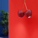 Cherry Shaped Modern Ceiling Chandelier for Living Room & Dining Room by Ljojo