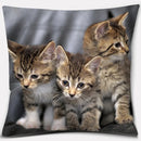 Cute Cat Series Pillowcase for Home Decor by Ljojo