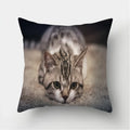 Cute Cat Print Cushion Cover for Sofa Decor by Ljojo