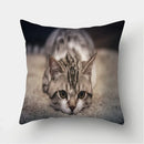 Cute Cat Print Cushion Cover for Sofa Decor by Ljojo