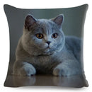 Cute Cat Print Fold Ear Pet Pillowcase for Cozy Home Decor by Ljojo