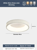 Ljojo 50cm LED Ceiling Light Modern Minimalist Surface Mount White Green Cream