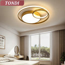 Ljojo LED Ceiling Light: Modern Dimmable Indoor Lighting for Living Room, Bedroom, Dining Room