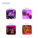 Ljojo™ 200W Full Spectrum LED Solar Grow Light for Indoor Outdoor Plants