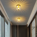 Ljojo LED Chandelier Ceiling Lamp Indoor Glass Wall Sconce Decoration for Living Room