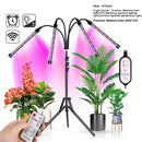 Full Spectrum Tripod LED Plant Light for Indoor Greenhouse Vegetables by Ljojo