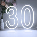 Ljojo™ LED Neon Digital Numbers Light Sign - 15-inch High, USB Powered