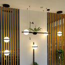 Modern Plant Pendant Lights Nordic DIY Sky Garden Led Lamp Hanging Lamp Home Decor by Ljojo