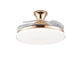 Ljojo Silent Ceiling Fan with Lights for Master Bedroom | Home Decor Chandelier | 110V 220V