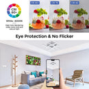 Ljojo 24W LED Modern Ceiling Chandelier for Stylish Living Room Lighting