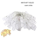 LED Photo Clip Fairy Lights for Holiday Decor by Ljojo