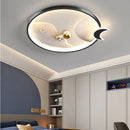 Ljojo LED Ceiling Lights for Modern Living Room Decoration