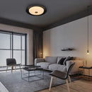 Ljojo LED Ceiling Light: Modern, Waterproof, Soft Lighting for Living Room, Bedroom