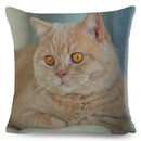 Cute Cat Print Fold Ear Pet Pillowcase for Cozy Home Decor by Ljojo