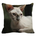 Cute Ljojo Sphinx Cat Cushion Cover 45X45cm - Home Sofa Decoration Pillowcase