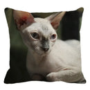 Cute Ljojo Sphinx Cat Cushion Cover 45X45cm - Home Sofa Decoration Pillowcase