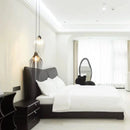 Ljojo Contemporary Metal LED Pendant Light | Minimalist Round Ball Chandelier Fixture