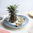 Ljojo Macaron Plate: Brushed Flat Plate for Vegetables, Steak, Pasta, Cake, Breakfast