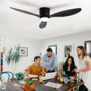 Ljojo Minimalist Ceiling Fan LED Light Motor High Air Volume Remote Control.
