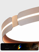 Ljojo 20" Smart Dimmable LED Ceiling Light for Bright Living Room