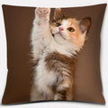 Cute Cat Series Pillowcase for Home Decor by Ljojo