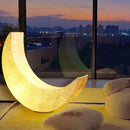 Ljojo Luminous Moon Lounge Chair & Floor Lamp Set for Outdoor Terrace & Courtyard