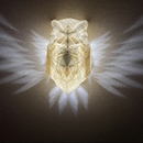 Eagle Owl Light Projection 3D Printed Night Light LED Wall Lamp by Ljojo