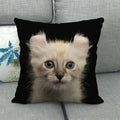 Fat Orange Cat Print Cushion Cover 45x45cm by Ljojo: Animal Pattern Home Decor Pillowcase