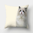Cute Cat Print Cushion Cover for Sofa Decor by Ljojo