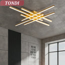 Ljojo LED Chandelier Ceiling Light for Living Room Bedroom Dining Kitchen